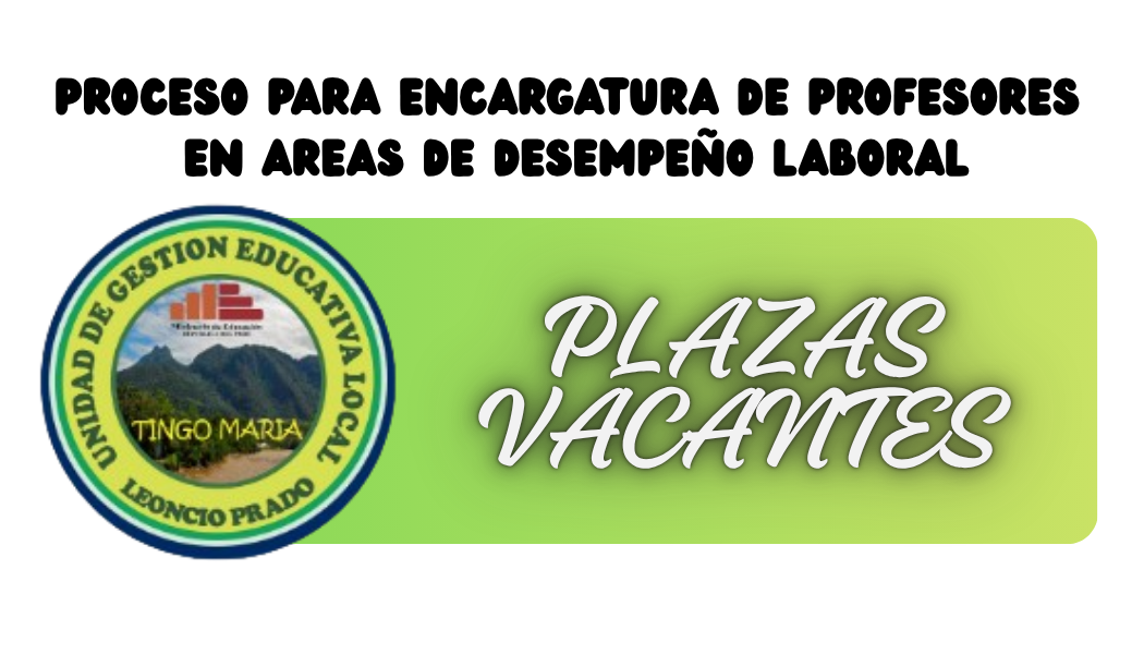 PLAZAS VACANTES PARA EL PROCESO DE ENCARGATURA DE PROFESORES EN ÁREAS DE DESEMPEÑO LABORAL LEY N° 29944-2026